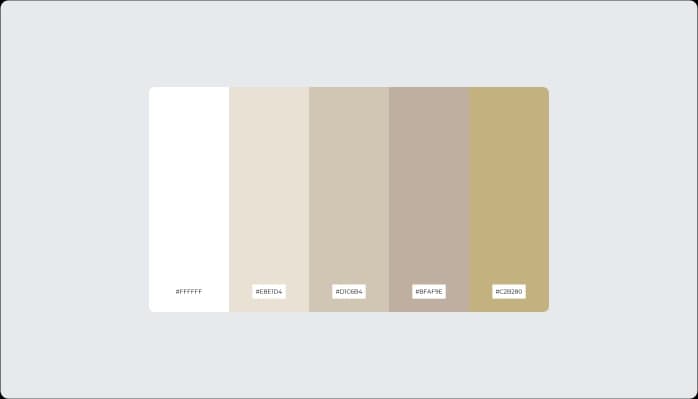 Image for Color Variations of Beige Color