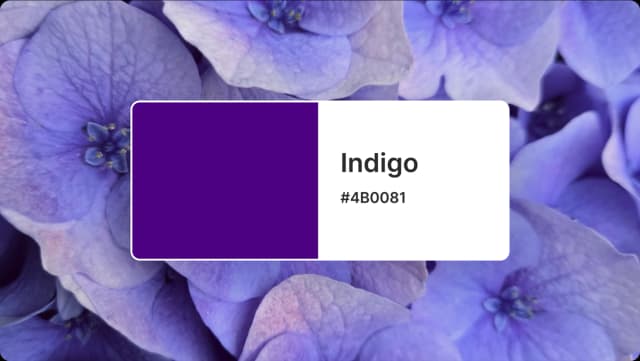 indigo