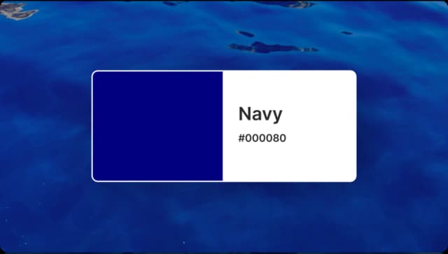 navy