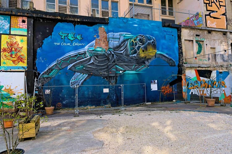 Urban Sea Turtle Mural