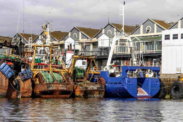 Cape Town Fishing Harbor