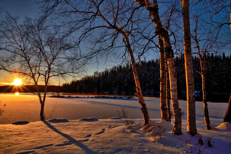 Winter Sunset Birch Lake