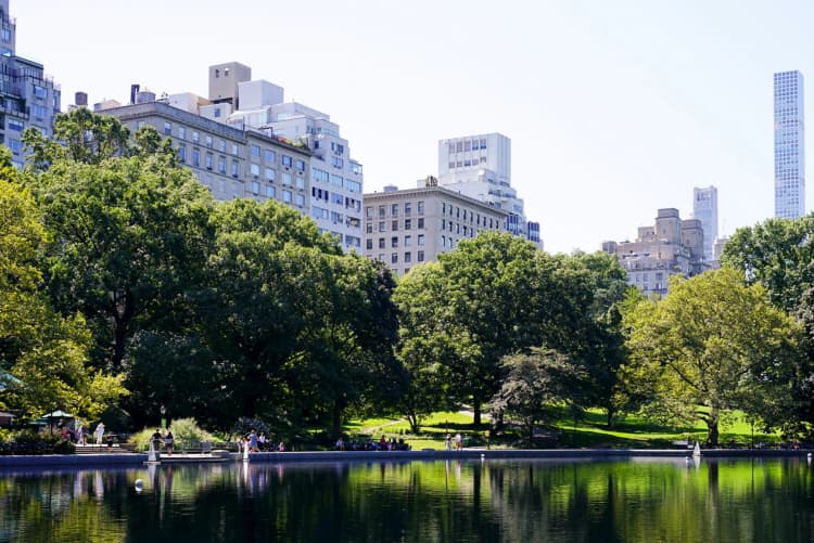 Central Park Urban Oasis