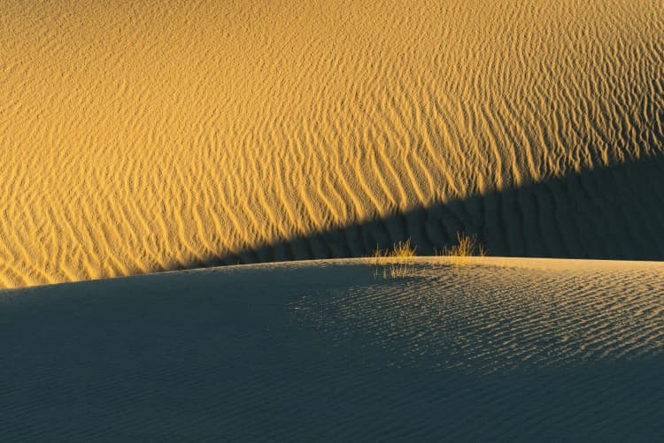 Desert Dune Shadow Play