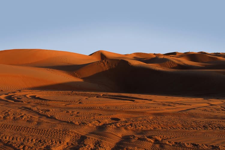 Vast Desert Sand Dunes