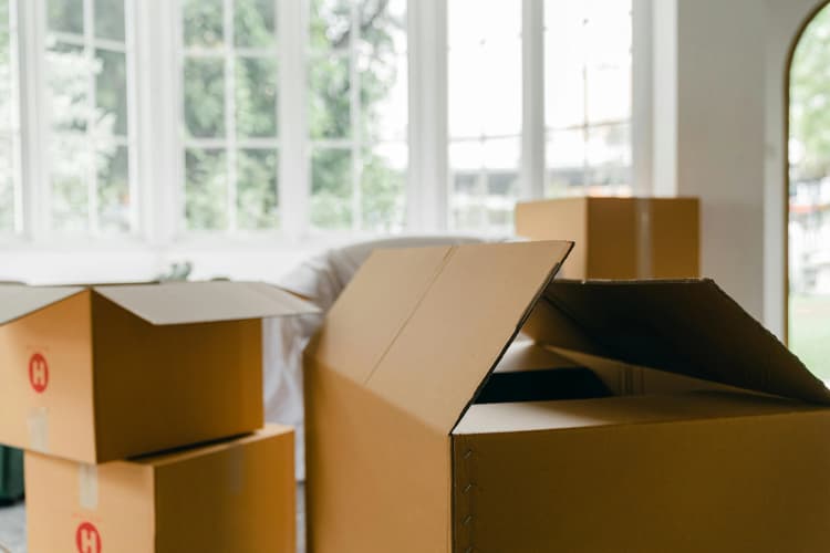 Moving Boxes in Sunroom