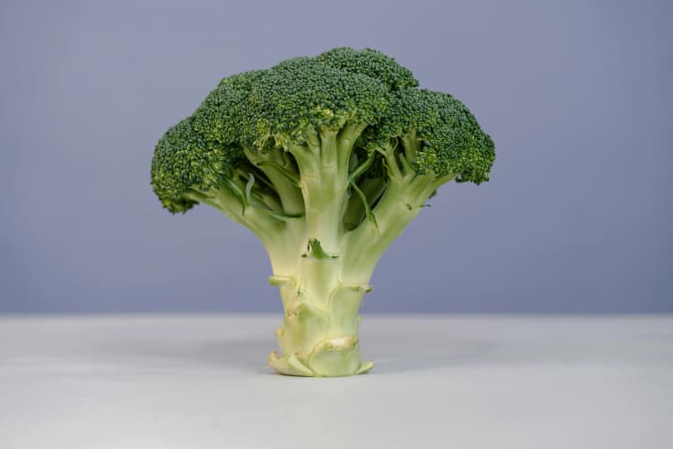 Fresh Broccoli Close-Up