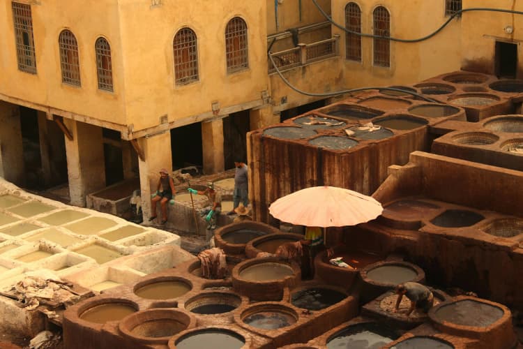 Moroccan Tannery in Fez