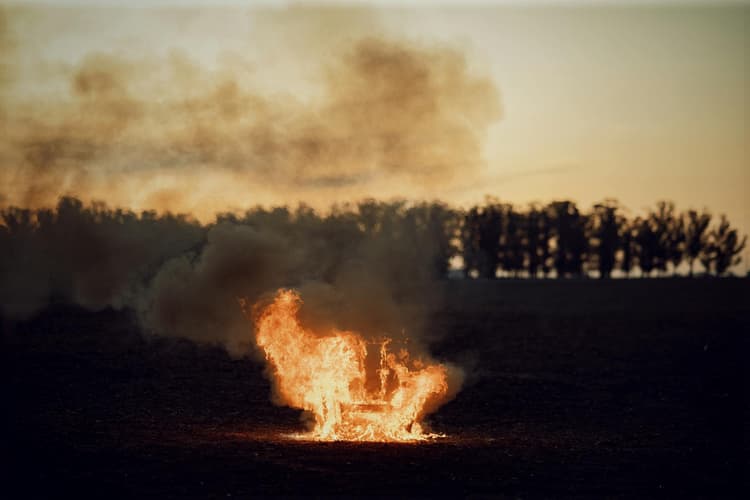 Fiery Blaze in Field