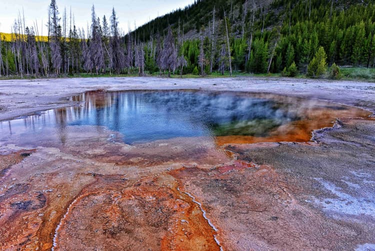 Geothermal Pool in Forest