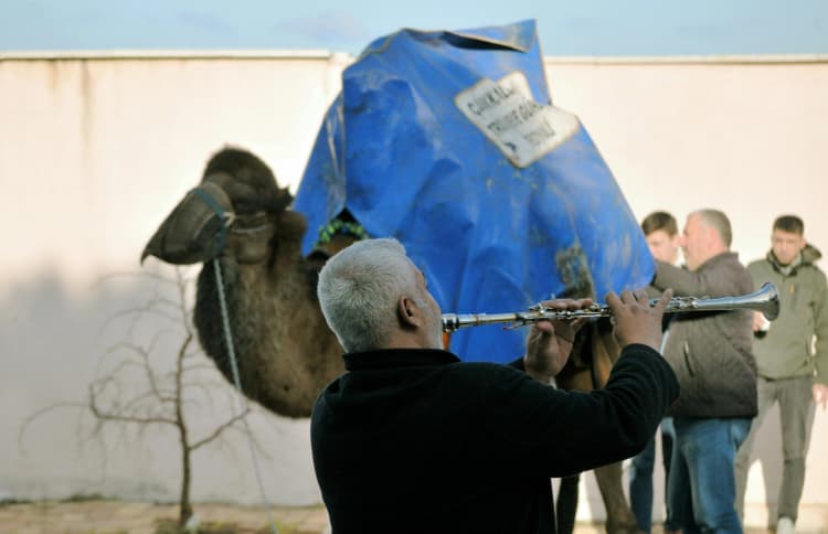 Camel and Clarinet Player