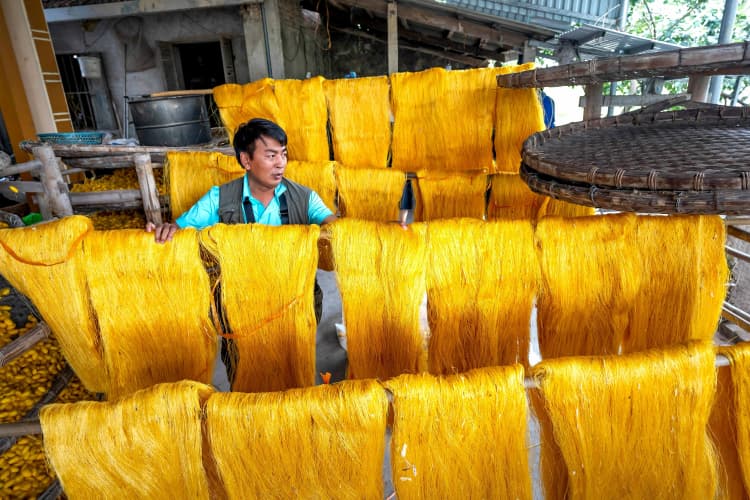 Silk Drying in Sunlight