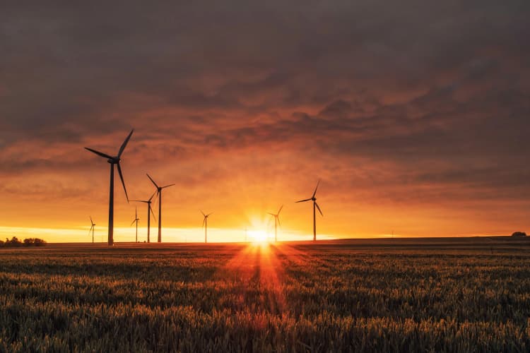 Wind Farm Sunset Panorama