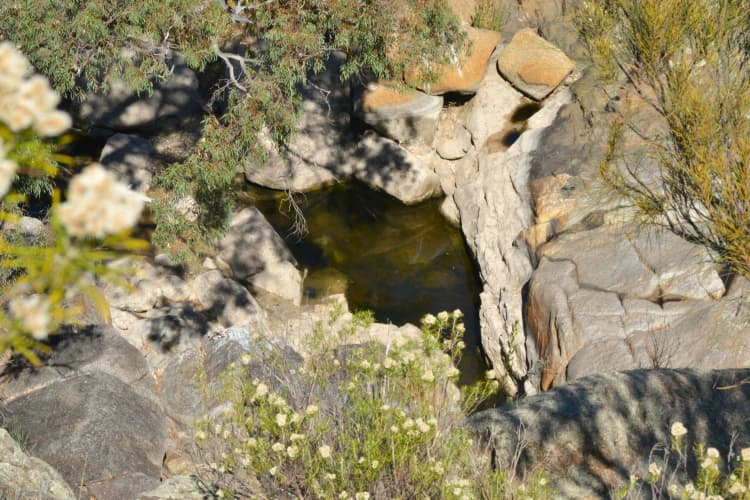 Rocky Desert Oasis Pool