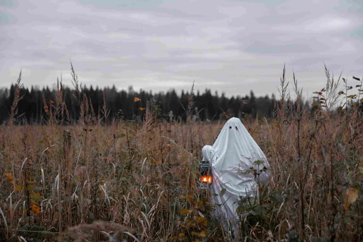 Ghostly Figure in Field