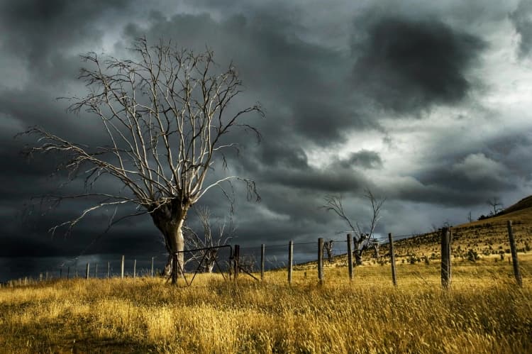 Stormy Prairie Solitude