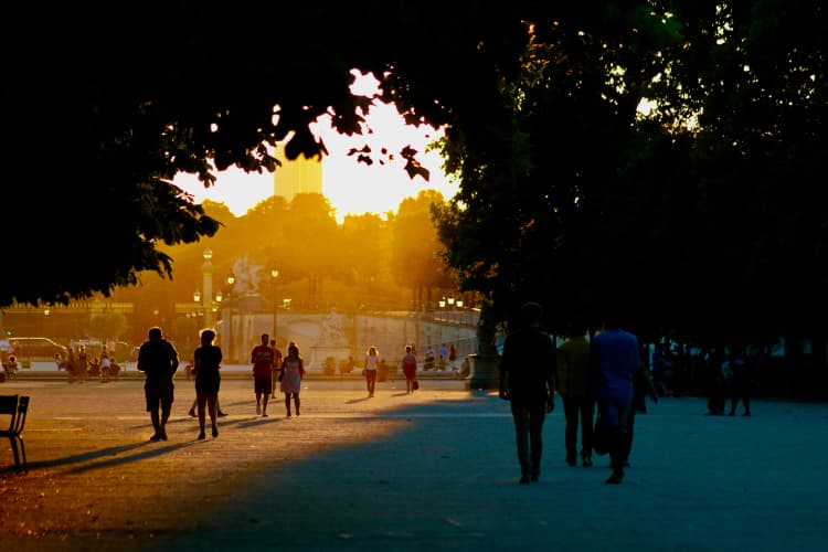 Sunset in Urban Park