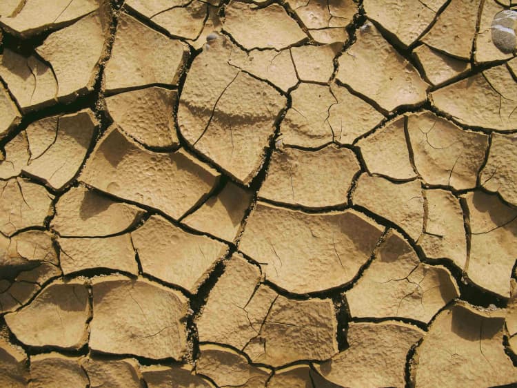 Cracked Dry Desert Ground