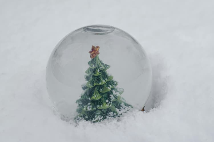 Christmas Tree Snow Globe